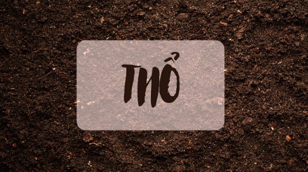 Hướng kê giường ngủ cho người mệnh Thổ theo từng tuổi